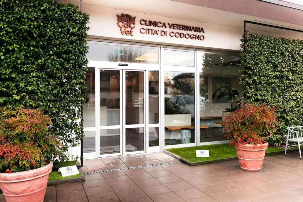 clinica veterinaria codogno